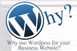 use_wordpress_business_website-inlogic-dubai